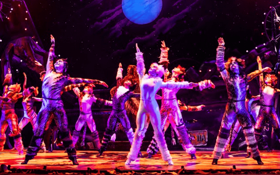 CATS: NOW & FOREVER STARTING MAY 7th AT BASS CONCERT HALL